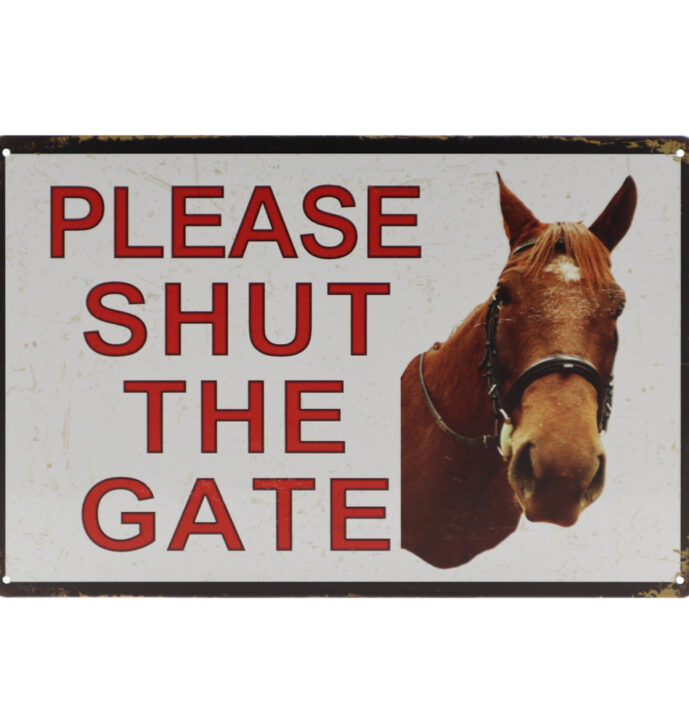 Paard Retro Wandbord 20×30